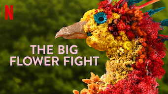 The Big Flower Fight (2020)