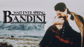 A Primavera Virá, Bandini (1989)