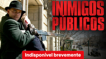 Inimigos públicos (2009)