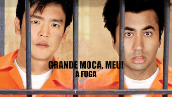 Uma viagem muito louca (2008)