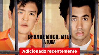 Uma viagem muito louca (2008)